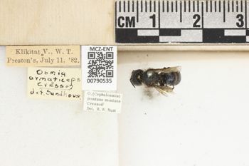 Media type: image;   Entomology 790535 Aspect: Labels